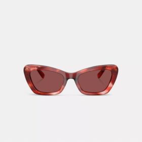 Lunettes de soleil « œil de chat » à monture métallique