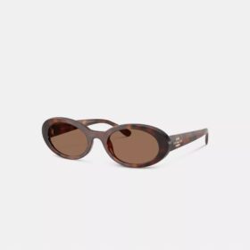 Lunettes de soleil ovales étroites