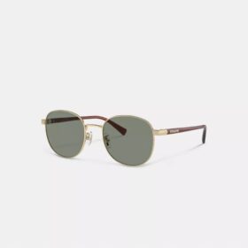 Lunettes de soleil rondes en métal