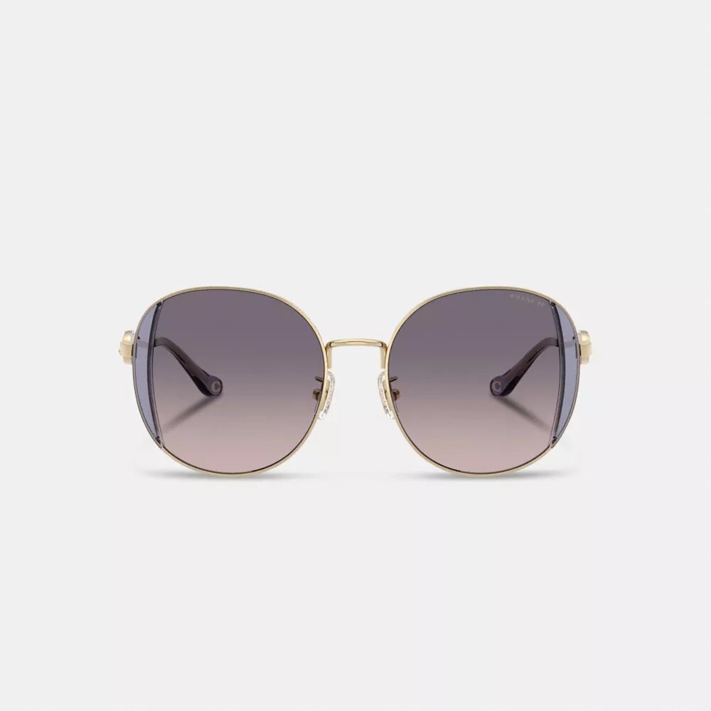 Lunettes de soleil rondes en métal « Horse and Carriage »