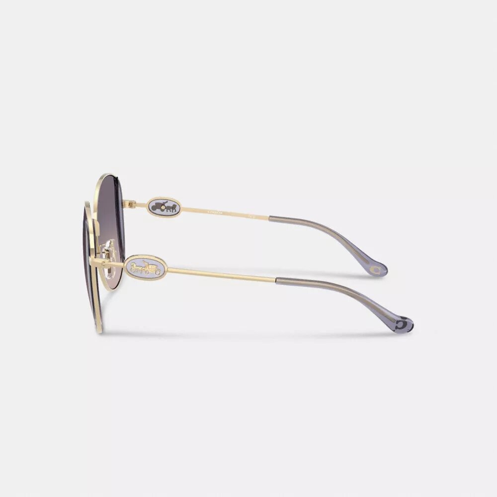 Lunettes de soleil rondes en métal « Horse and Carriage »