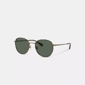 Lunettes de soleil rondes Windsor en métal