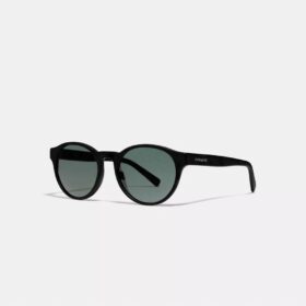 Lunettes de soleil rondes Wythe