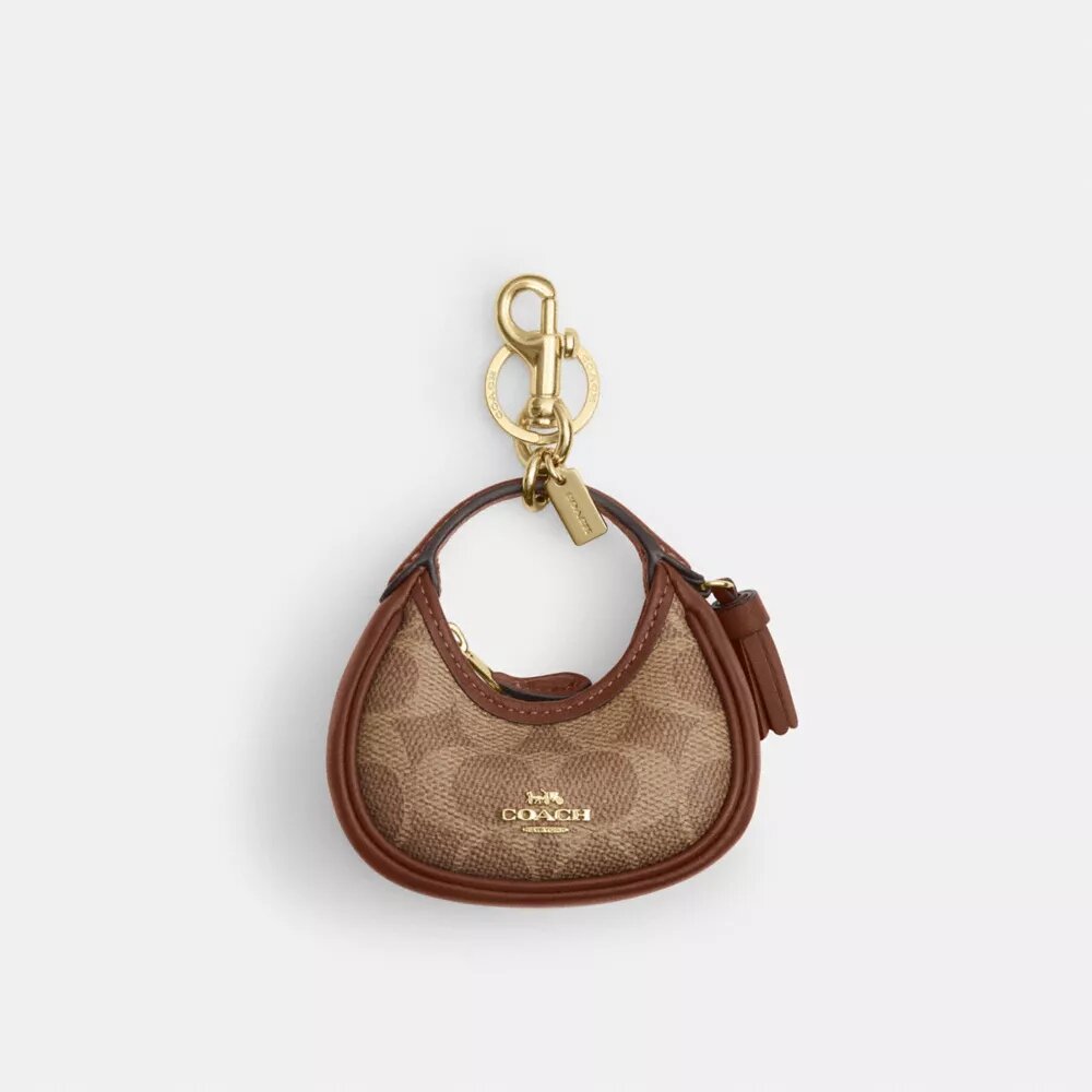 Mini bijou de sac Carmen en Signature Canvas