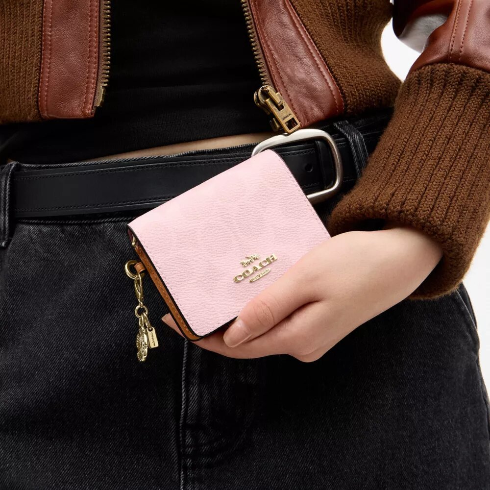 Mini-portefeuille à chaîne en Signature Canvas avec Charms