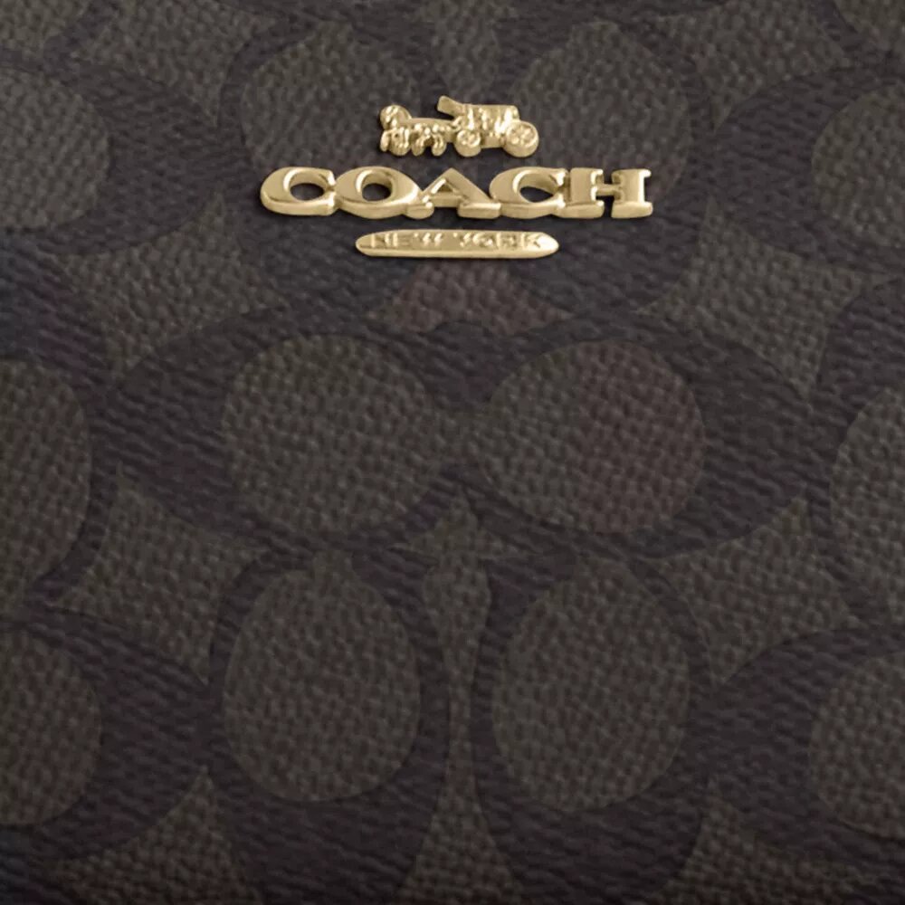 Mini sac bandoulière Teri en Signature Canvas