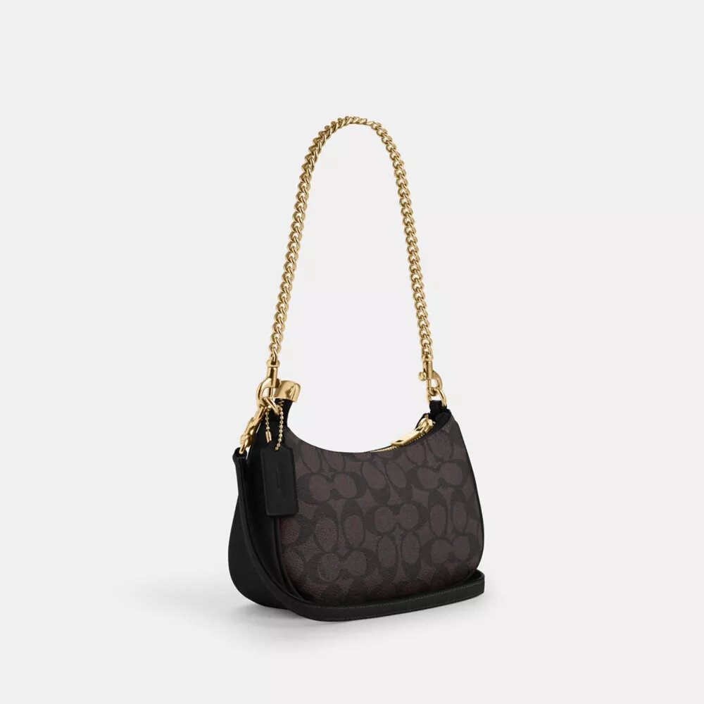 Mini sac bandoulière Teri en Signature Canvas