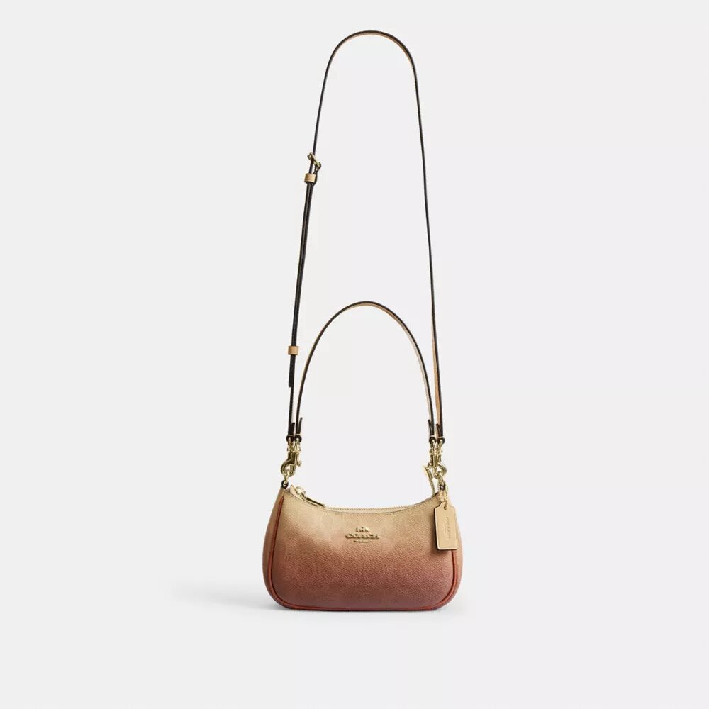 Mini sac à bandoulière Teri en Signature Canvas ombrée