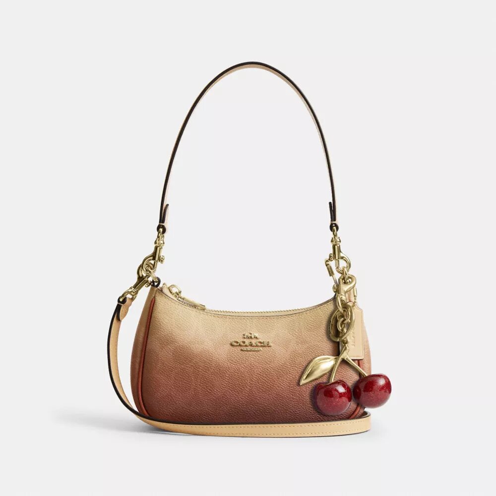Mini sac à bandoulière Teri en Signature Canvas ombrée