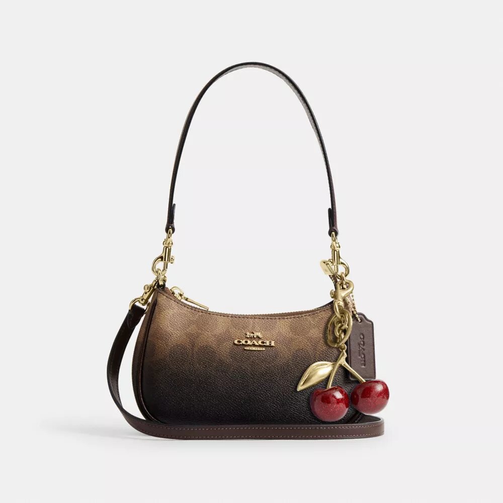 Mini sac à bandoulière Teri en Signature Canvas ombrée