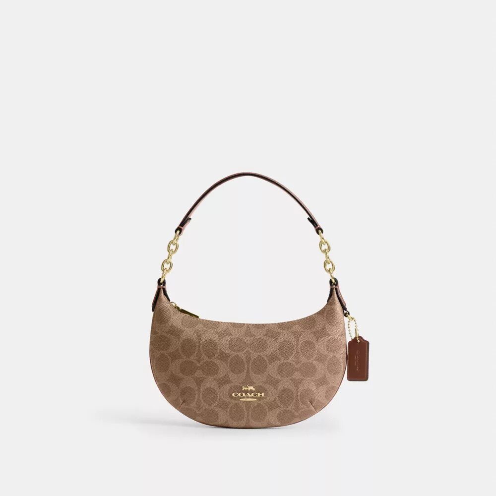 Mini sac Payton en Signature Canvas