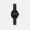 Montre Sammy, 22 mm