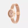 Montre Sammy, 22 mm