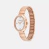 Montre Sammy, 22 mm