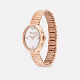 Montre Sammy, 22 mm