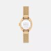 Montre Sammy, 22 mm