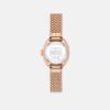 Montre Sammy, 22 mm