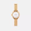 Montre Sammy, 22 mm