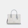 Petit sac cabas Maggie en Signature Canvas