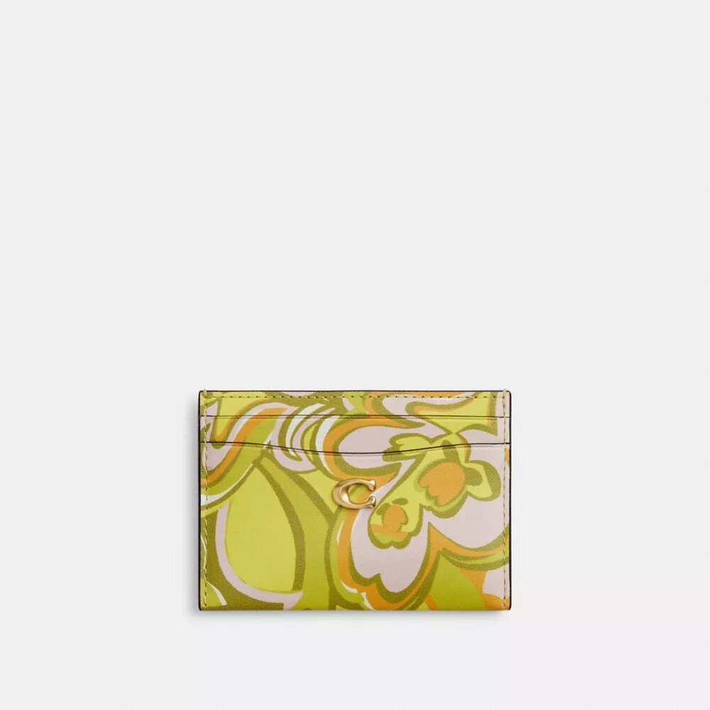 Porte-cartes indispensable à imprimé Paisley