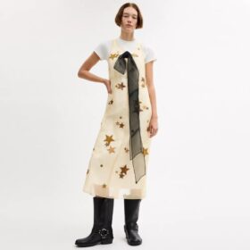 Robe en organza étoilé
