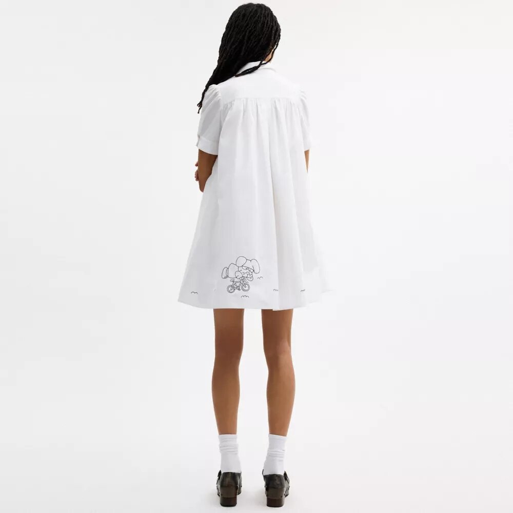Robes Coach