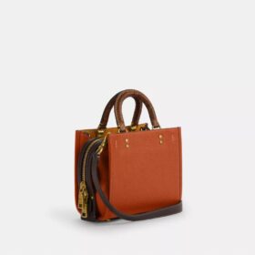 Rogue 20 en cuir régénératif avec détails en peau de serpent