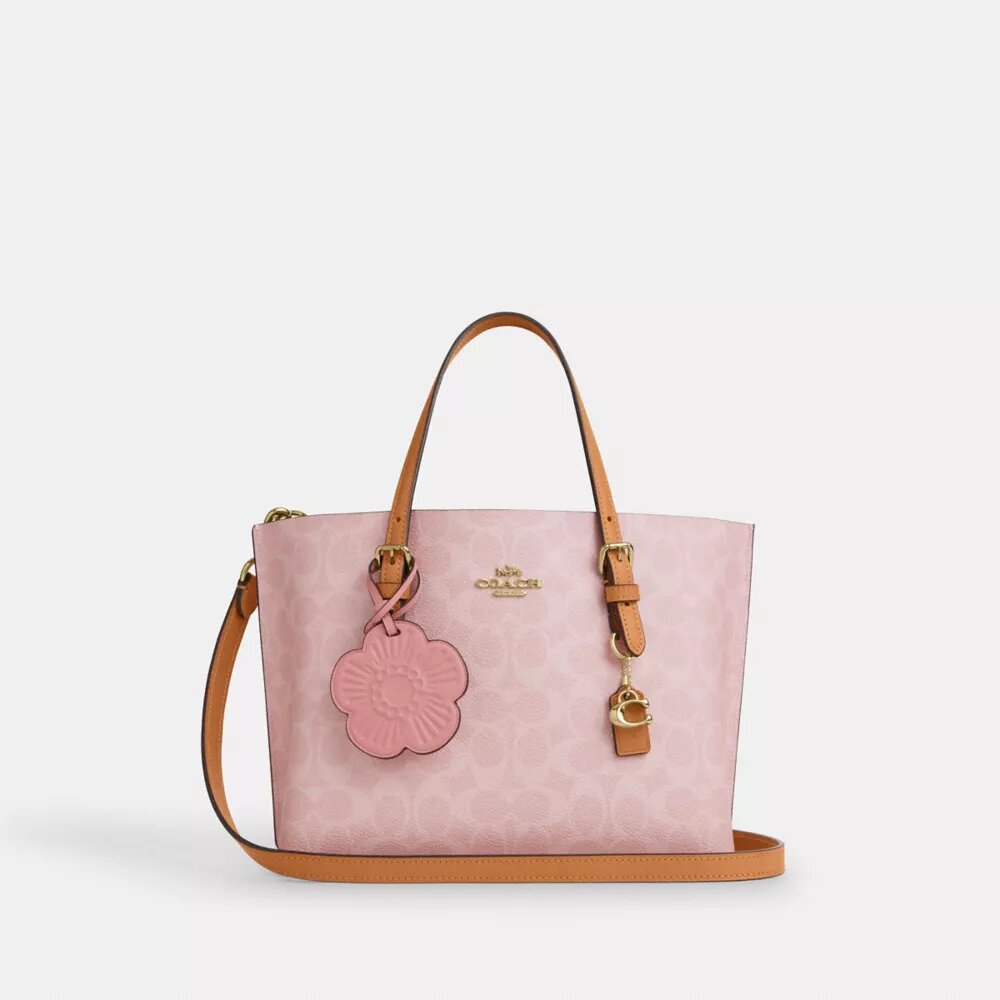 Sac cabas Mollie 25 en Signature Canvas avec Charms