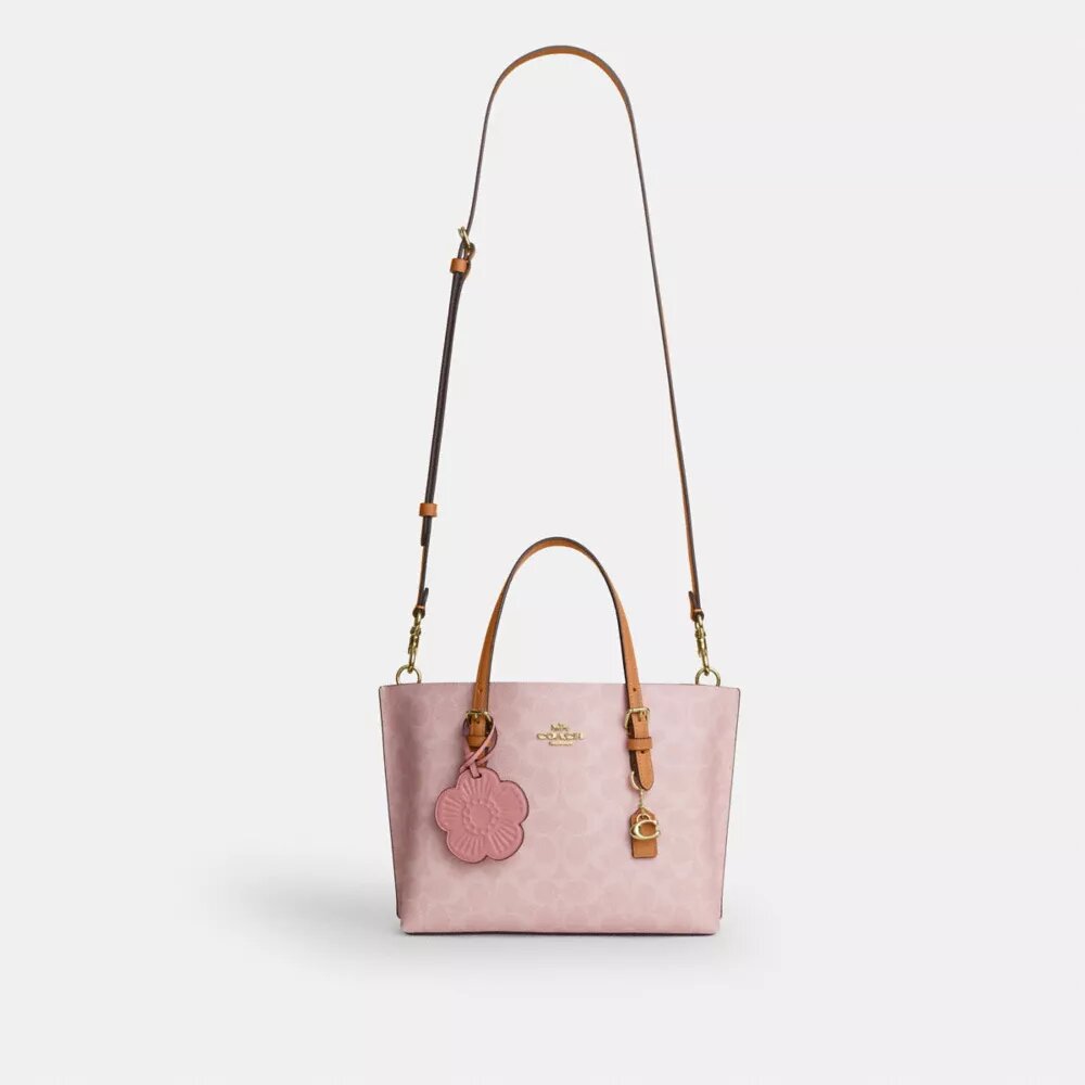 Sac cabas Mollie 25 en Signature Canvas avec Charms