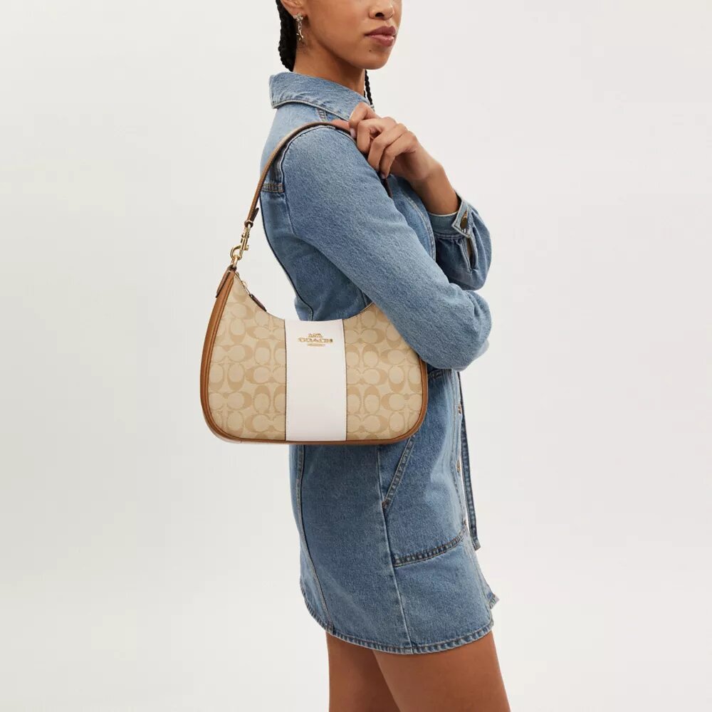 Sac hobo Teri en Signature Canvas à rayures