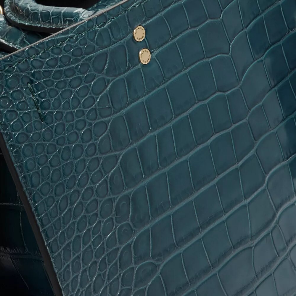 Sacs Rogue en alligator