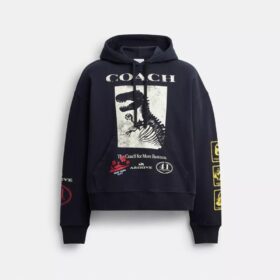 Sweats à capuche ample « Dinosaur Collage » en coton bio
