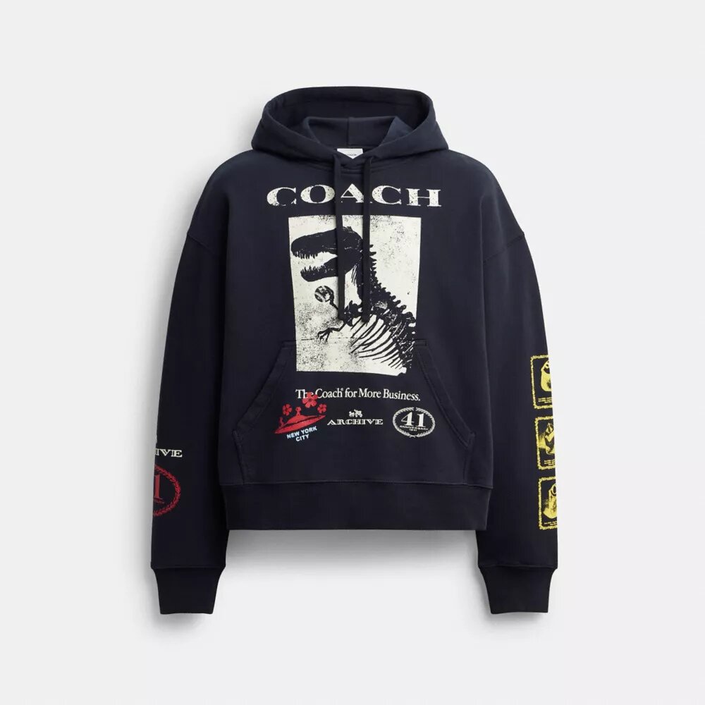 Sweats à capuche ample « Dinosaur Collage » en coton bio