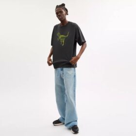T-shirt Rexy à coupe décontractée en coton biologique