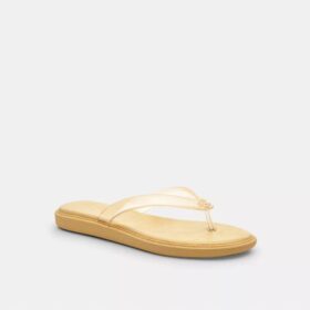 Tongs en plastique transparent dans notre motif emblématique
