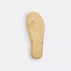 Tongs en plastique transparent dans notre motif emblématique