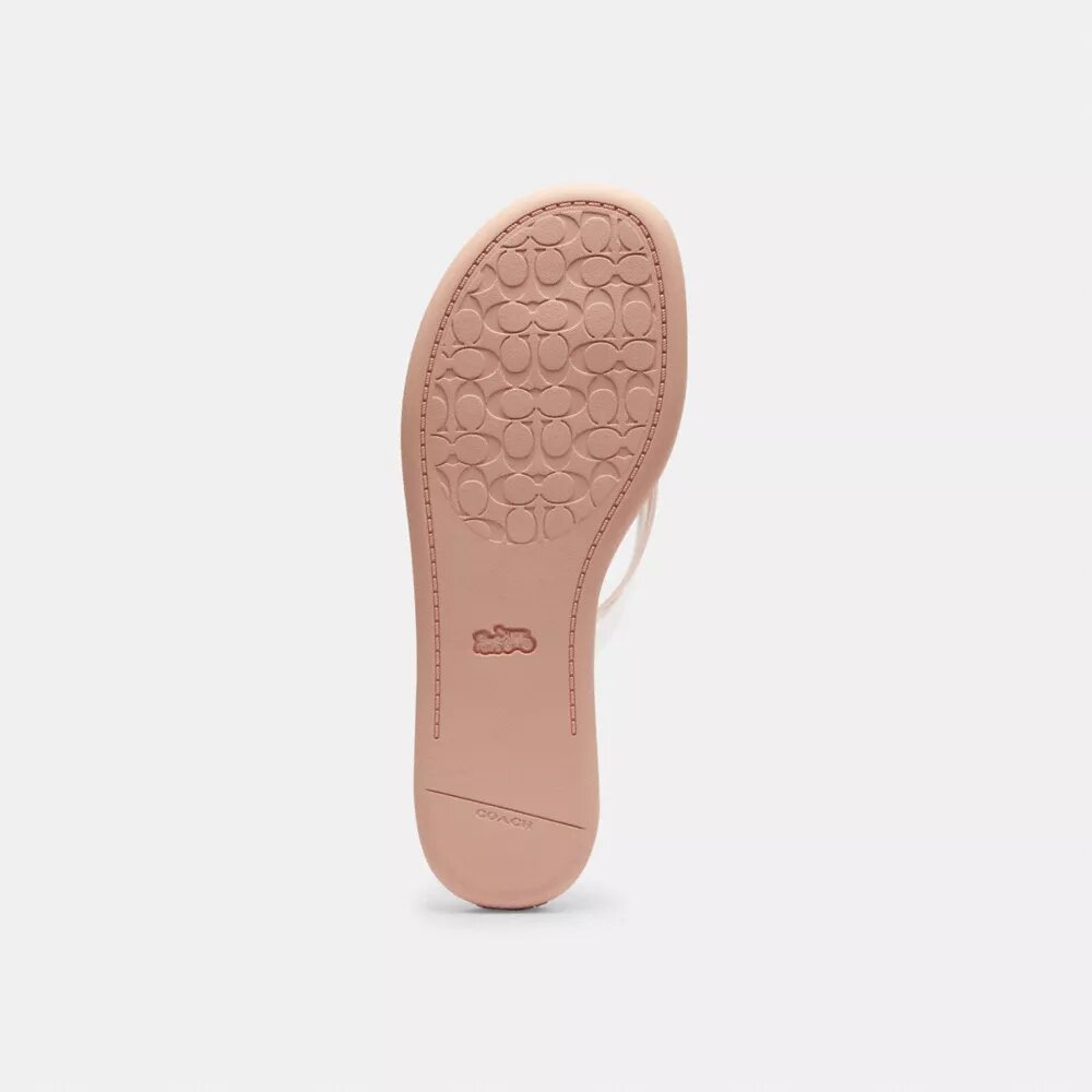 Tongs en plastique transparent dans notre motif emblématique