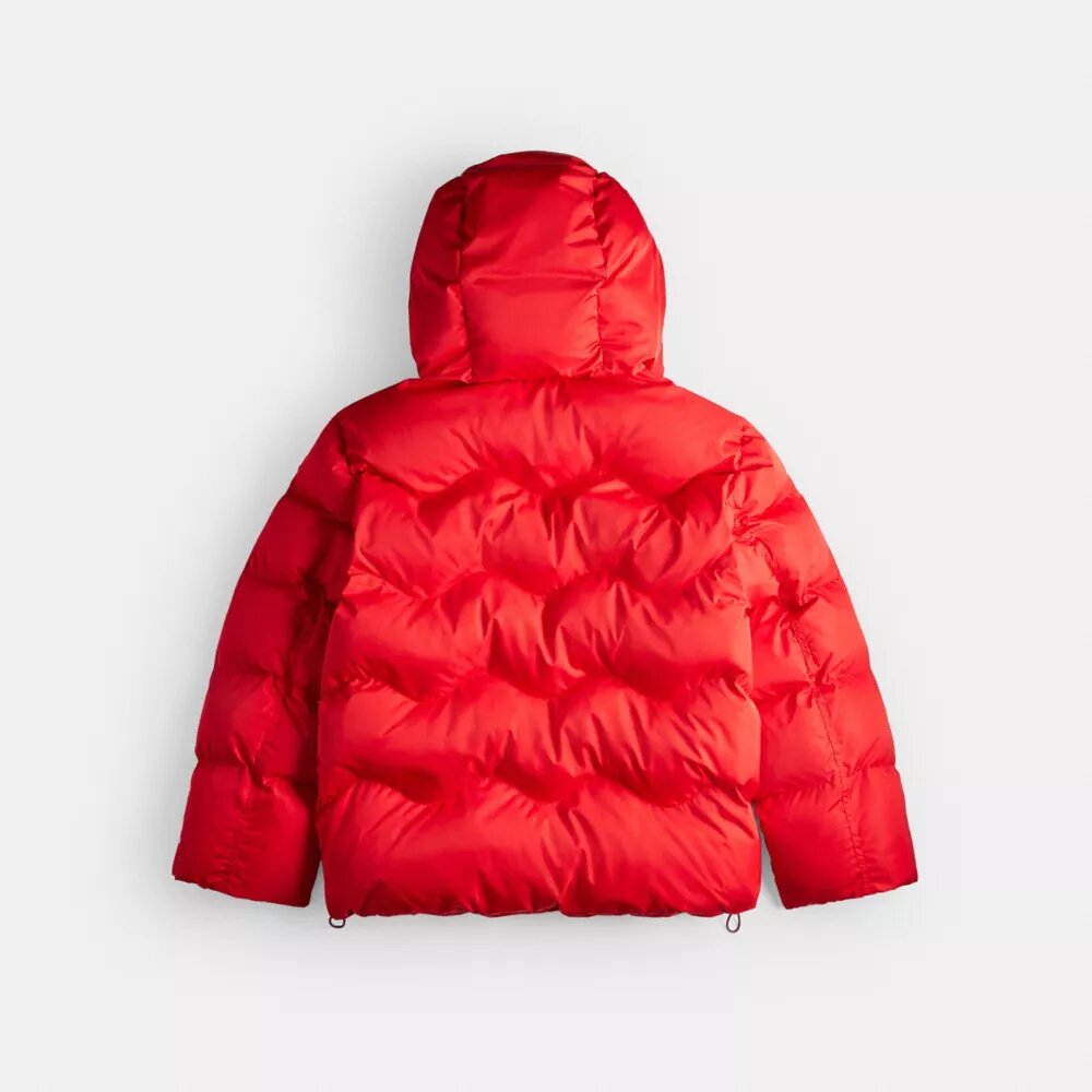 Veste matelassée Coachtopia Loop